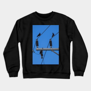 Two Pigeons on Powerlines Crewneck Sweatshirt